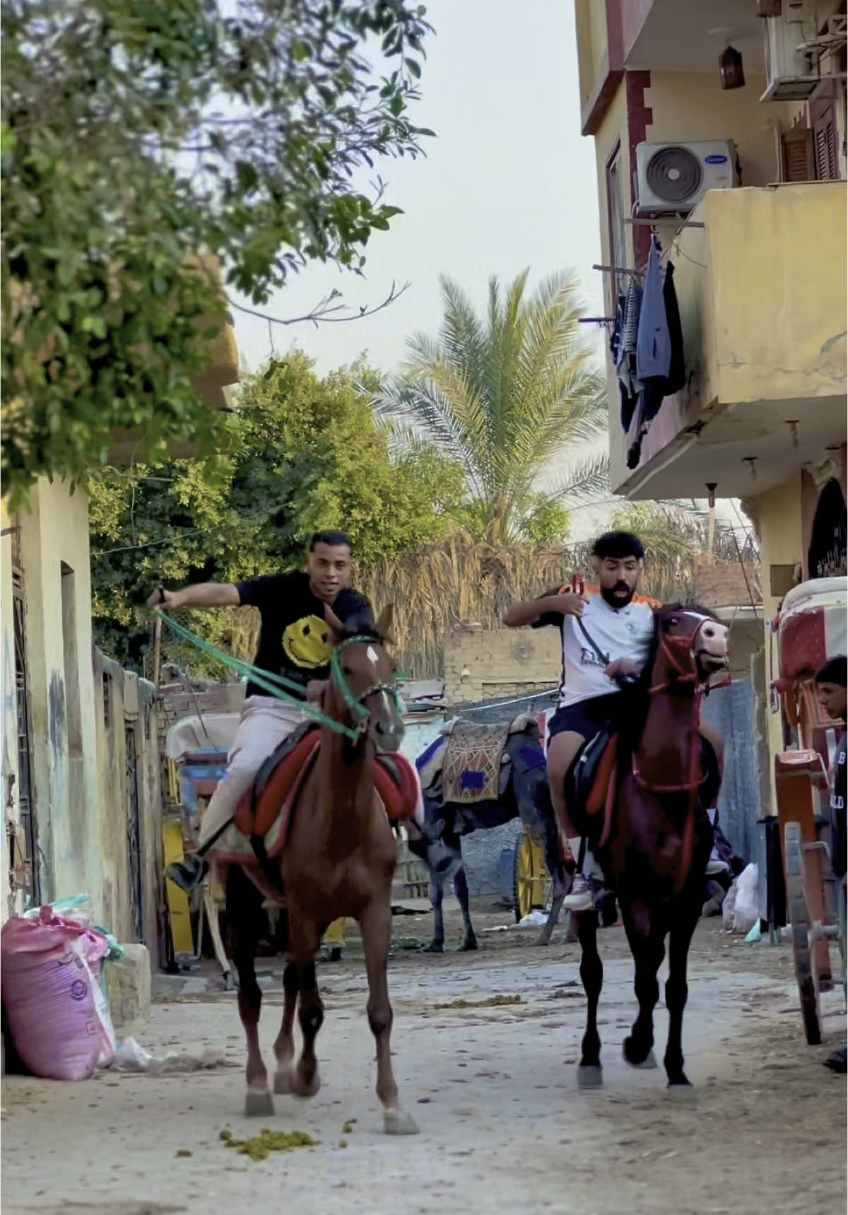 اجمل فيديو دراما 🎭  ( الجز التالت ) من حصان مرمي … لبطل اسطوري ♥️🐴 #رينجو_مصر #ringo 