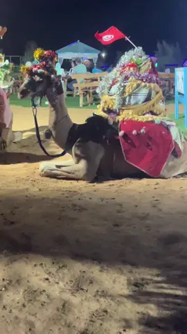 #جربة_مدنين_بنقردان_جرجيس_تطاوين #شعب_الصيني_ماله_حل😂😂 #اجيم_جربة #djerbaladouce🌴🌴🌴☀️☀️☀️🌴🌞🏊 