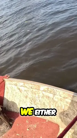 The mystery find is revealed! Was it skill or luck? Check out this massive propeller—it's huge! #treasurehunt #mysteryfind #propeller #bigboat #supercool #magnetfishing