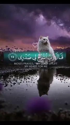 #اكتب_شي_توجر_عليه #القارئ #عبدالله_احمد_شعبان #راحة_نفسيه #CapCut 