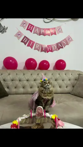 Happy Birthday Masha 🎂🥳🎉🎊🎁😘