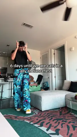 6 days until dancefest!!!  #edm #dancefestopia #dancefest #alleycat #fyp 