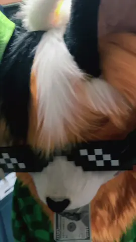 #swag #furry #fursuiter 