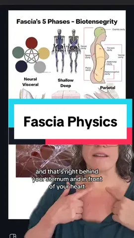 Fascia operates as dark matter in our body - creating a living matrix of complex geometries that defy gravity . It’s the same geometry as Einstein’s Equation, Thermodybamics, and Astrophysics… . And it’s the. Missing link in all of the hard sciences…  . . . #fascia #physics #sacredgeometry #alchemy 