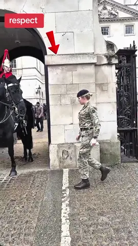 respect moment king guard horse #kingguardhorse #kingguard #royalguard 