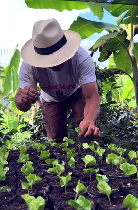 la Mejor Taza Está En Camino