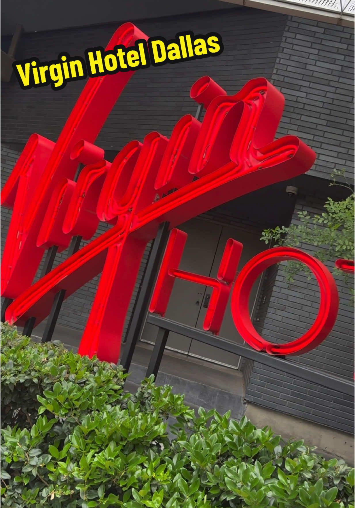 Artsy. Chic. Luxe. The Virgin Hotel Dallas rooftop is the moment—poolside loungers, city views, and that golden hour that makes everything look editorial. If your Dallas staycation needs a little gloss, start at the top. 🌇🧴💦 Would you do sunrise laps or sunset lounging? #VirginHotelDallas #DallasRooftop #DallasHotels #LuxuryStay #HotelReview #RooftopPool #DallasTexas #StaycationDallas #VisitDallas #LuxuryTravel #TravelCreator #DallasInfluencer #creatorsearchinsight 