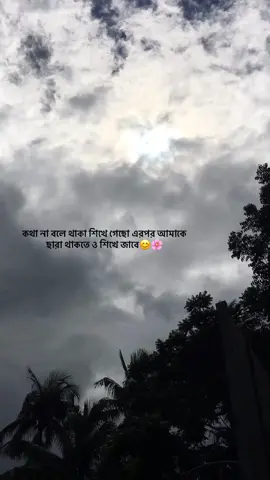 জে কথা না বলে থাকতে পারে সে ভুলেও জেতে পারে😊❤️‍🩹🌸...#foryou #bangladeshtiktok #vairalvideo #Repost #Mrsiyam007 