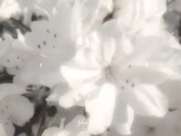 ای سن! دوران بچگیتونو زنده کردم❤️‍🩹 #shnowixi  #برو_فوریو_بچ  #monsterinparis 