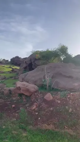 فام لخذيرات 2025