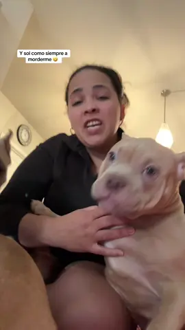 Las amo yo se que tu también #viralvideo #viralvideoamericanbully 