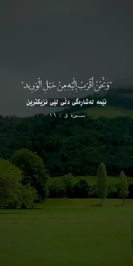 “  لَا إِلَهَ إِلَّا أَنْتَ سُبْحَانَكَ إِنِّي كُنْتُ مِنَ الظَّالِمِينَ “