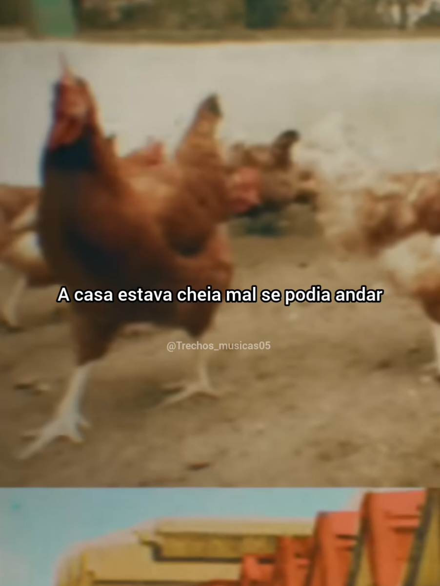 Abertura: Êta Mundo Bom #tipografia #videolegendado #etamundobom #novela #globo 