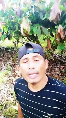 apa......!anggota DPR mau digaji 3juta perhari😲🤔 #komedyhiburan  #fyp 