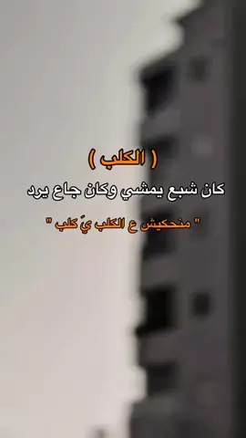 مثل ينطبق ع ناس واجده 😆. #ليبيا🇱🇾 #عبارات #اقتباسات #اكسبلور 
