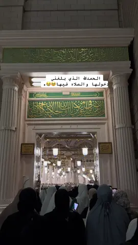 #المدينة_المنوره #المسجد_النبوي #الروضه_الشريفه 