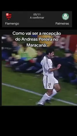 #flamengo #palmeiras #andreaspereira  traidor da nação . . . . . . . . . . . . . . . . . . . . . . . . . . . . #fyppppppppppppppppppppppp #futebol 