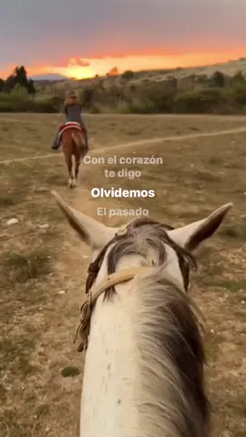 ❤️🐴#amor #rancho #VicenteFernandez #olvidemoselpasado #paratii 