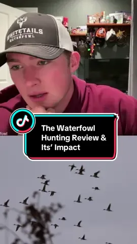 Check us out on Instagram ➡️ Whitetails.Waterfowl #fyp #hunting #waterfowl #duckhunting #whitetailsandwaterfowl 
