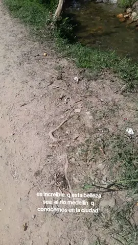 Dios de verdad si eres maravilloso #gracias #gratitud #gracias 