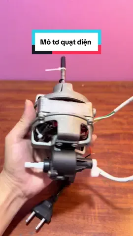Mô tơ quạt điện #quạt #quatdien #quatcay #quatgio #quatban 