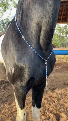 ✨🐎 “Detalhes que traduzem fé e tradição. O peitoral com terço, trazendo a imagem de Nossa Senhora Aparecida, Padroeira do Brasil, transforma cada cavalgada em uma romaria de devoção e proteção.” 🙏🇧🇷 #terco #catolicos #cavalos #cavalgada #romaria 