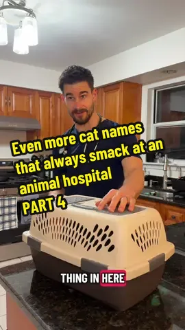 Cats really do have the best names! … and I’m serious about that cookie company sponsorship if anyone has a connection… a Reese’s sponsorship would also be welcomed! 🤣 #fyp #funny #comedy #vetsoftiktok #catlover 