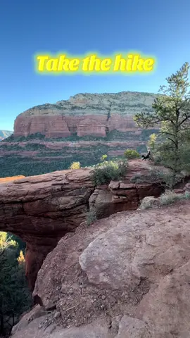 Sometimes you just need to get out there and solo is the way to do it. I’ve hiked across the country alone, and with my dog.  I never post in real time and let trusted people know where I am so they can follow my location. I also always download a trail map ahead of time that tracks me via GPS so I don’t get lost.  I use AllTrails Plus to download my maps and navigate. The app even alerts me if I accidentally go off trail.  @AllTrails is currently running a 50% off sale now for a yearly subscription until September 3rd, 2025. I highly recommend their Plus subscription for all hikers. Get your membership in my bio and get hiking 🥾 