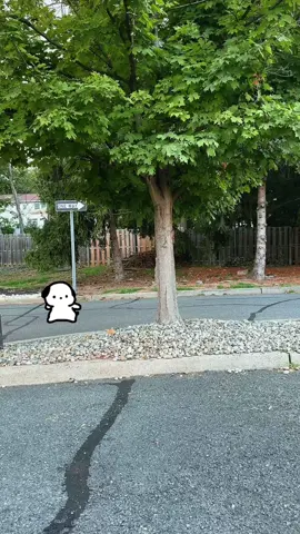 feeling the vibe 🙂‍↔️