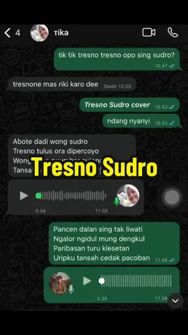 Tresno Sudro cover ft @rtkaa_a #cover #tresnosudro #lagujawa #fyp #jawapride 
