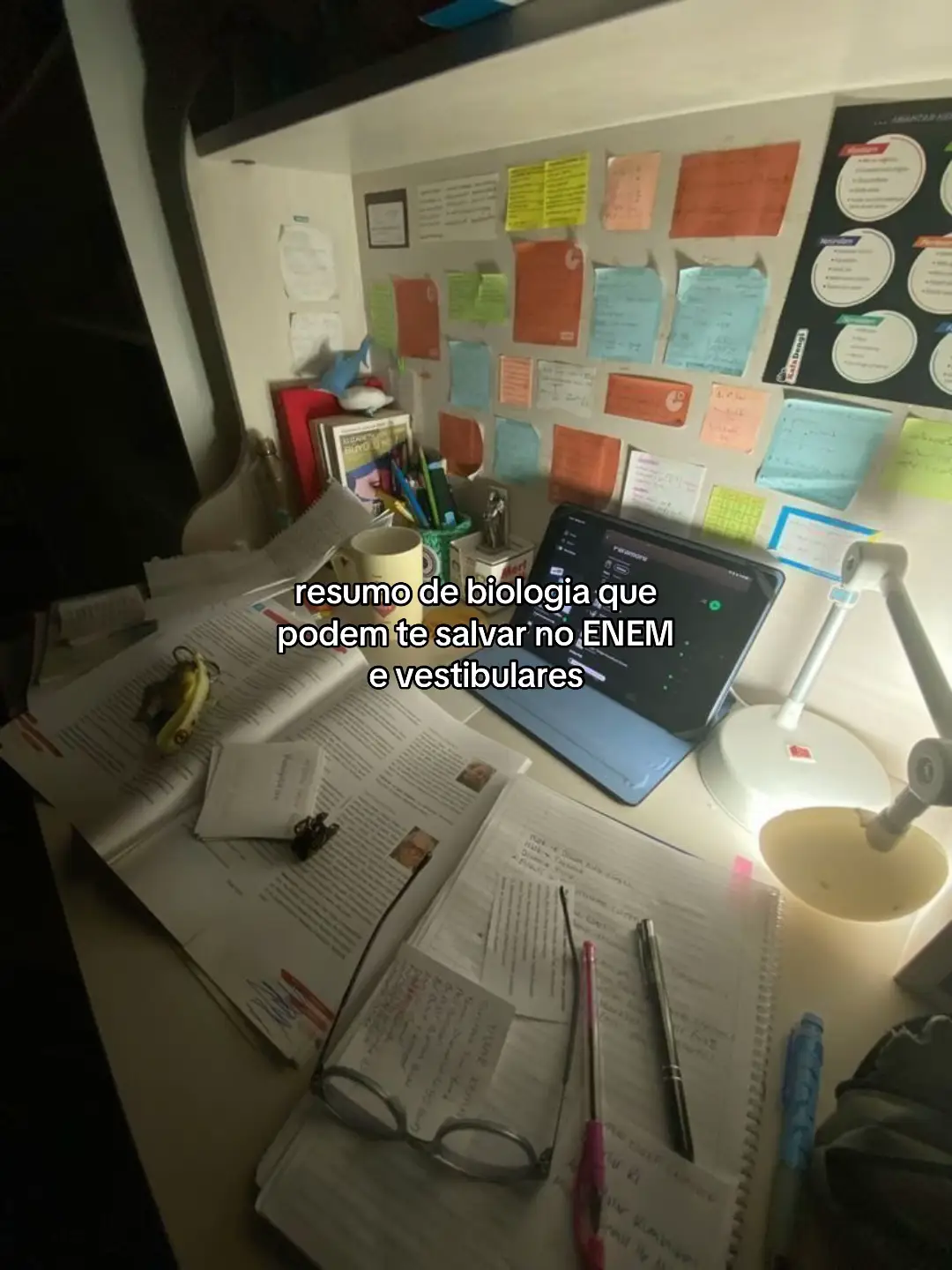 #biologia #studytok #naturezas #enem #vestibulares