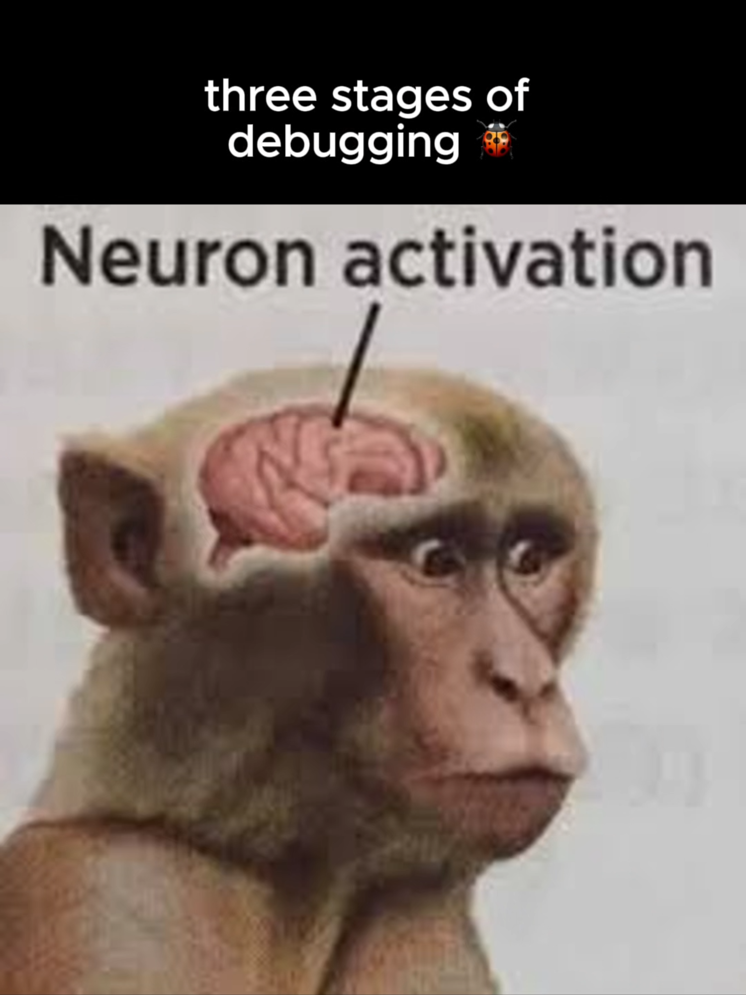 Debugging gets crazy 💔 🥀 #computerscience #programming #FAANG #softwareengineer #debugging