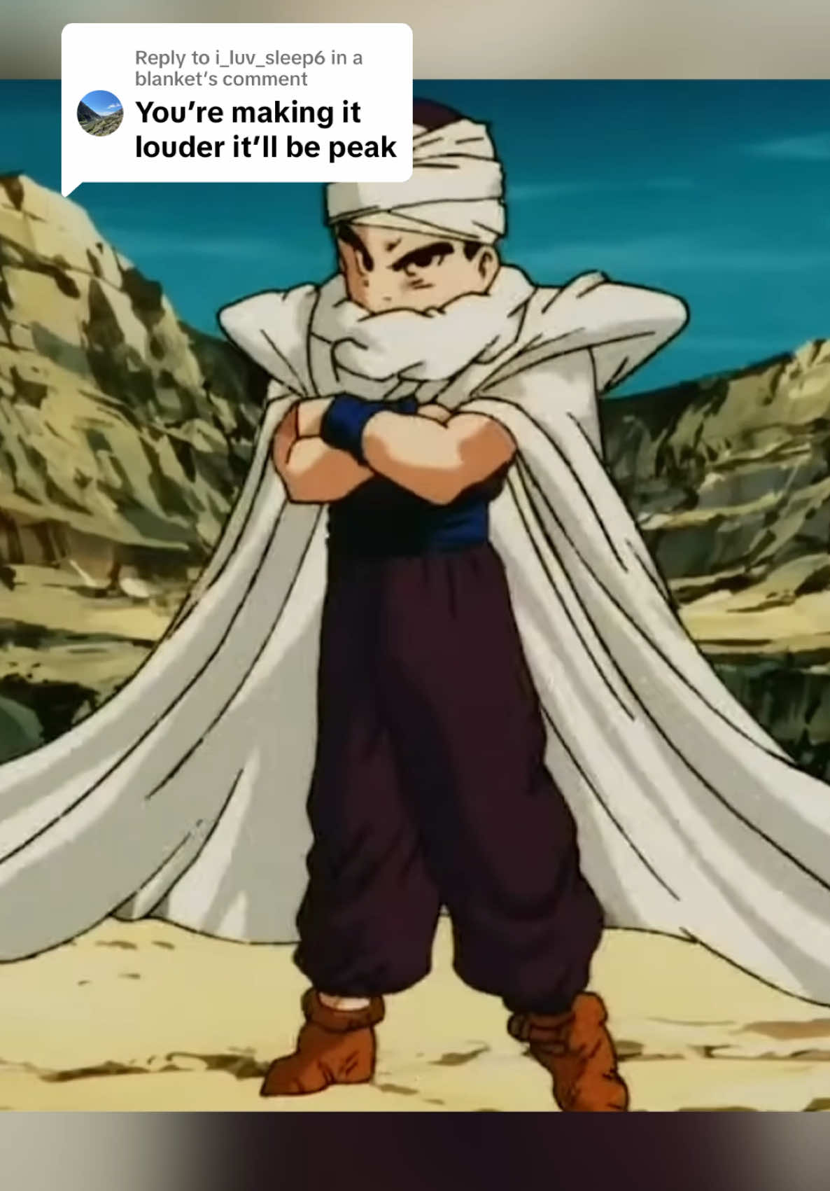 Replying to @i_luv_sleep6 in a blanket  It’s Truly Peak. #fyp #dragonballz #piccolo #krillin #aura #romannoodlw #aurafarming #yesweseethefit 