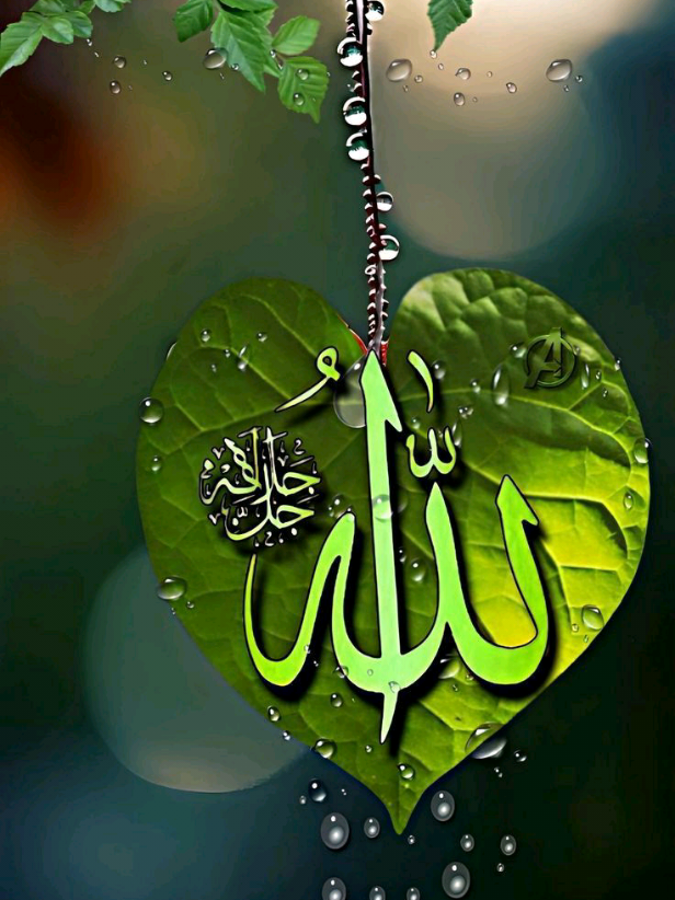 #bismillah 