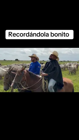 Pensarla como lo evito  #FranciscoMercado #venezuela🇻🇪 #recordandolabonito #MúsicaLlanera #casanare #guarico #apure #agradecimientoaDios #gratitud 