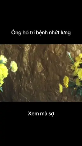 Ôg hổ..#miniworldroyale #mwrSEAunite #angiang67 