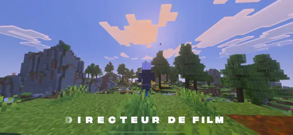 Quel nom donner à ton aventure ? Si tu n’as pas d’idée, rejoins-nous sur play.mc-maitre.fr 🌙✨. #Minecraft #maitre #trend #mtr #fyp 