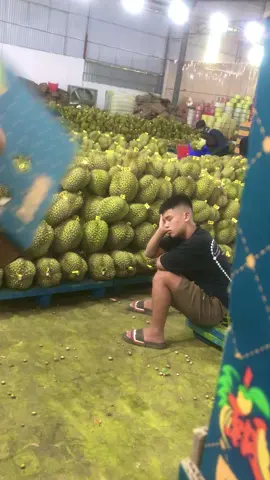 Suy dữ lắm rồi…😄 #xuhuong  #sauriengdaklak 