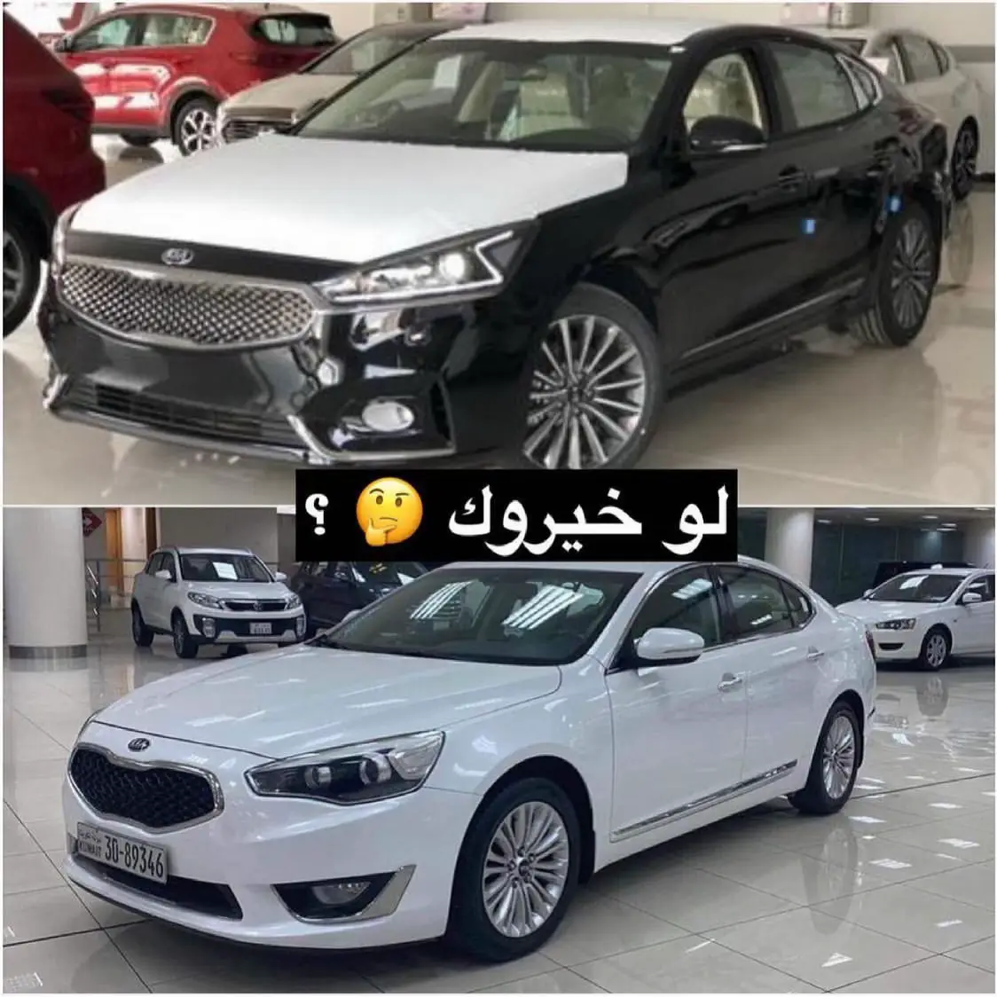 #كادينزا#كادينزا2016 #كادينزا_2017 16 ?