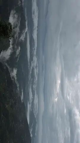 #nature #lowkey77 #relatable 