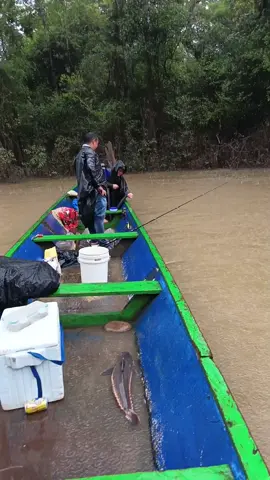 #guaviare🇨🇴🇳🇬 