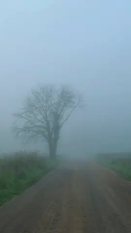 Early morning drives through Cades Cove in the Smokies are my favorite  #smokymountains #cadescove #mountainview #travel #dreamyaesthetic 