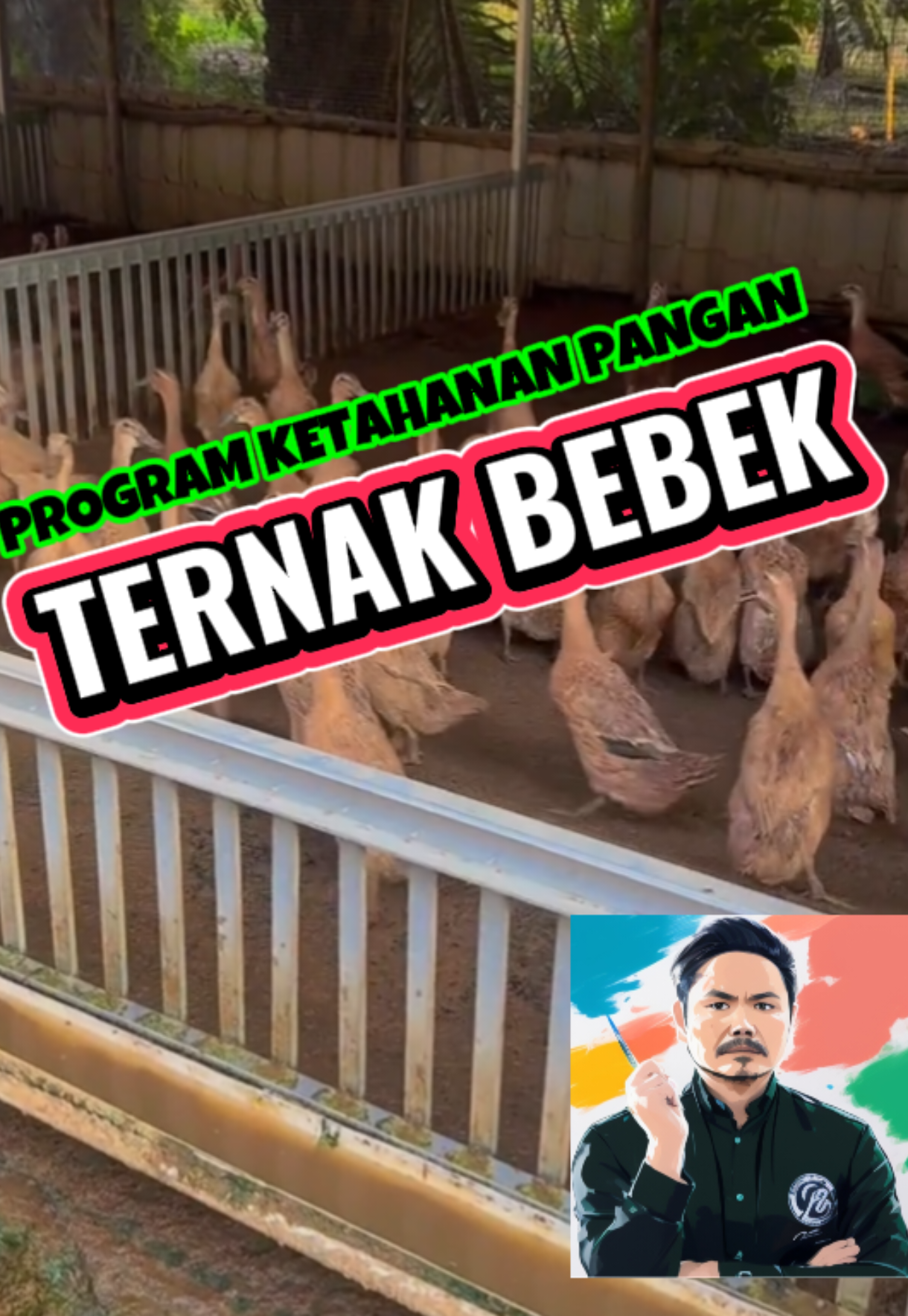 Program Ketahanan Pangan Ternak Bebek Petelur #bebek  #ketahananpangan  #ternak  #desa  #bumdes 