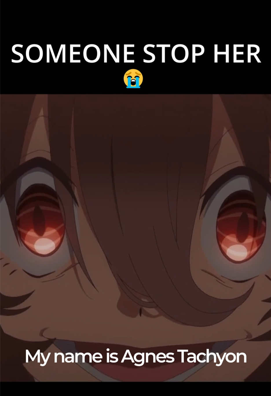 Agnes Tachyon BULLYING 😭#agnestachyon #umamusume #umamusumeprettyderby #humor #anime 