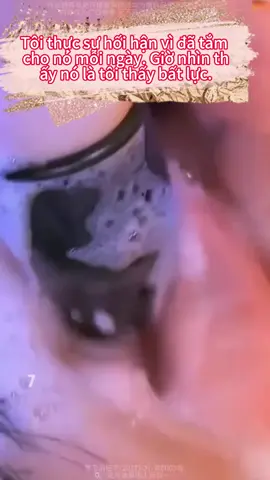 Làm sạch vùng kín, chăm sóc em gái chu đáo, làm sạch vùng kín bằng mousse