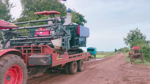 មួយហាតដើរចាក់ស្រូវចង500m😭 #នាទីធ្លាក់like💔🙃 #សុំ❤️ម្នាក់មួយមកok🙏❤️❤️ #🌾🌾🌾 