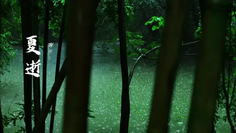 “Mỗi trận mưa là một sắc thu, mây trôi qua thảo đường, mang theo làn mát” #canhdeptrunghoa #suutam #tuyetlacsontrang #cophong #mua 