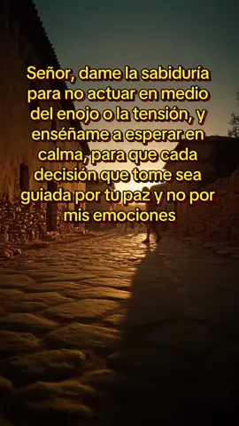 Señor, dame la sabiduría para no actuar en medio del enojo o la tensión, y enséñame a esperar en calma, para que cada decisión que tome sea guiada por tu paz y no por mis emociones #luzfamiliar #oracionfamiliar #sabiduria #enojo #paz 