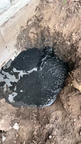 Así nace el petróleo 