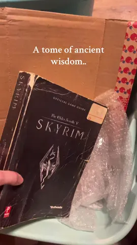rough condition ik #fyp #skyrim #skyrimtiktok #elderscrolls #xyzbca 